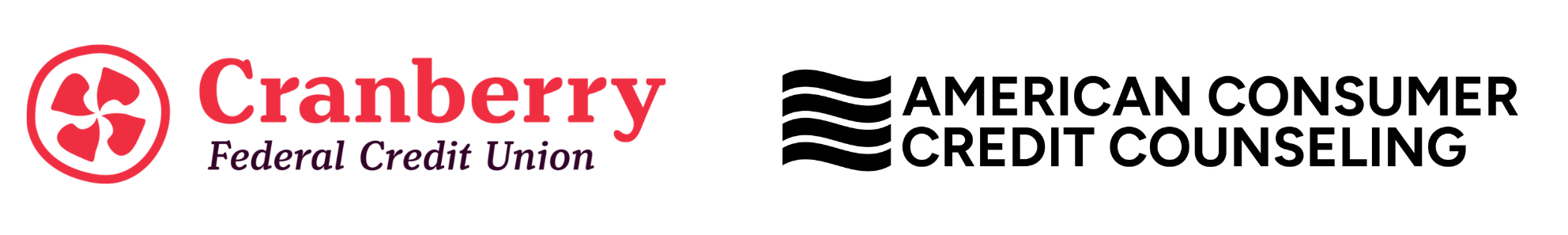 Budgetnista Banner Options (2500 x 1000 px) (24)-2